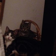 Wie sage ichs meinem Chef?! 016