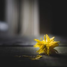 Im Wartezimmer photo by Sven Brandsma via unsplash