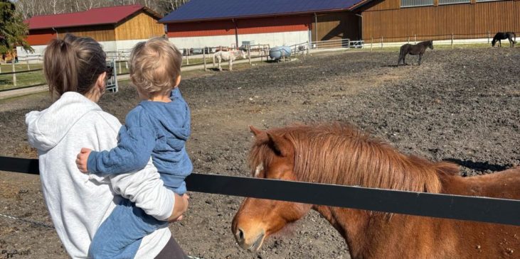 Mama, mit Kind auf dem Arm, steht vor einer Koppel, auf der ein Pony steht