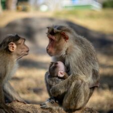 Ankommen in der Mutterrolle anoof-c-pAeaIlGV5ns-unsplash