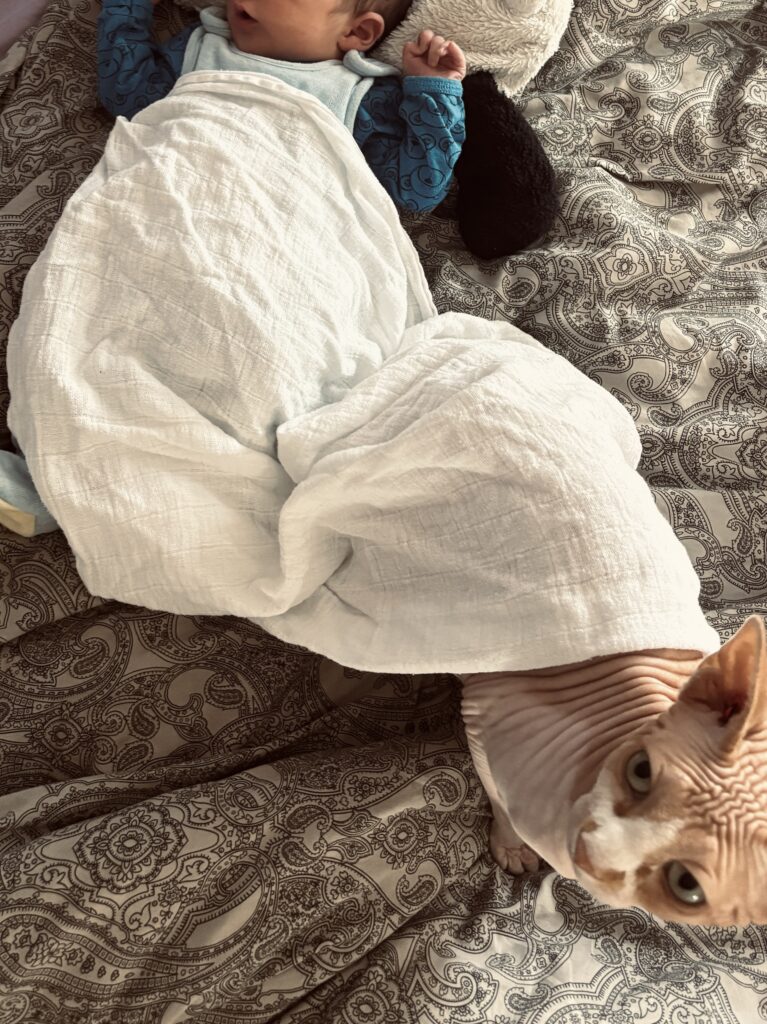 Ein weißes Schnuffeltuch unter dem ein Baby und eine Katze sich den Platz teilen