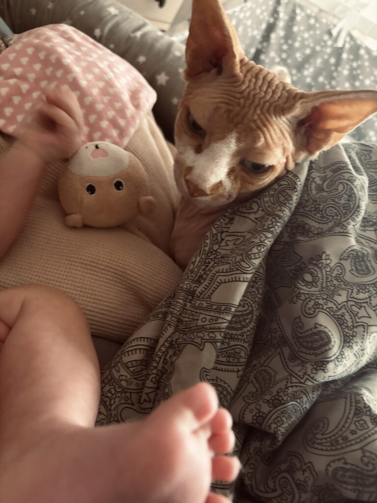 Babyfüßchen im Vordergrund, eine Katze unter einer Decke und ein Kuscheltier im Hintergrund