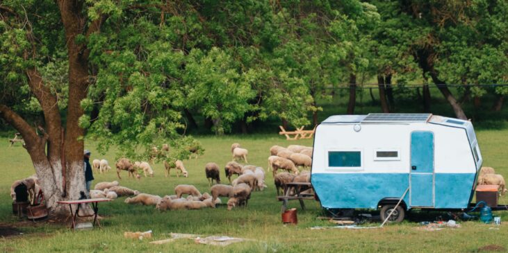 Wohnwagen, Bauernhof, Camping auf dem Bauernhof