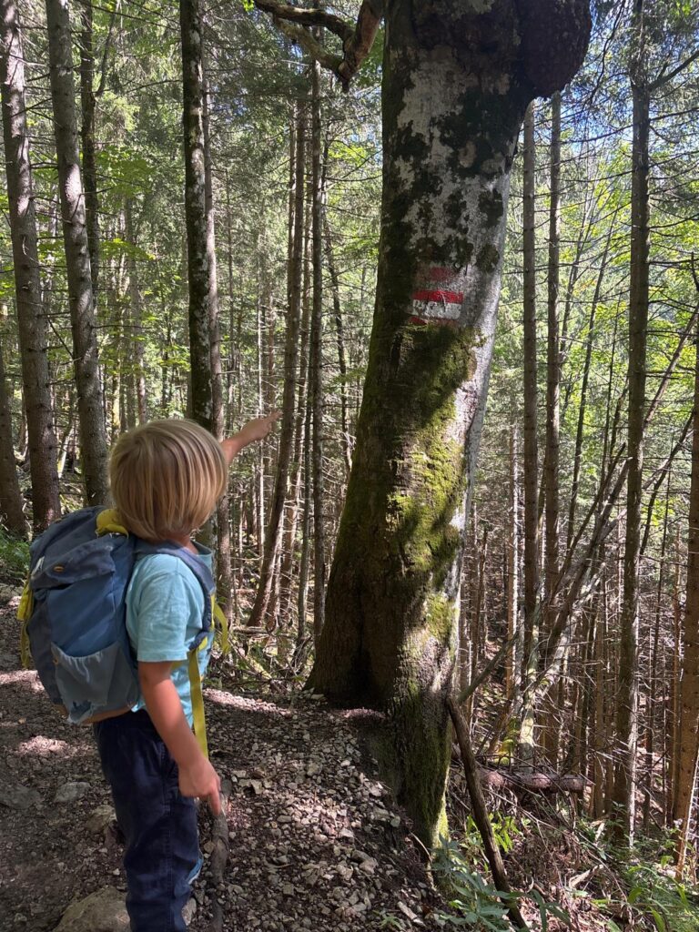 Kind beim Wandern auf dem Weg zur Berghütte
